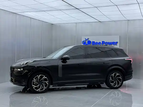 Lynk & Co 09 EM-P 2021