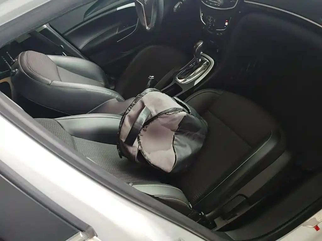 Buick Regal 2015 — фото 25