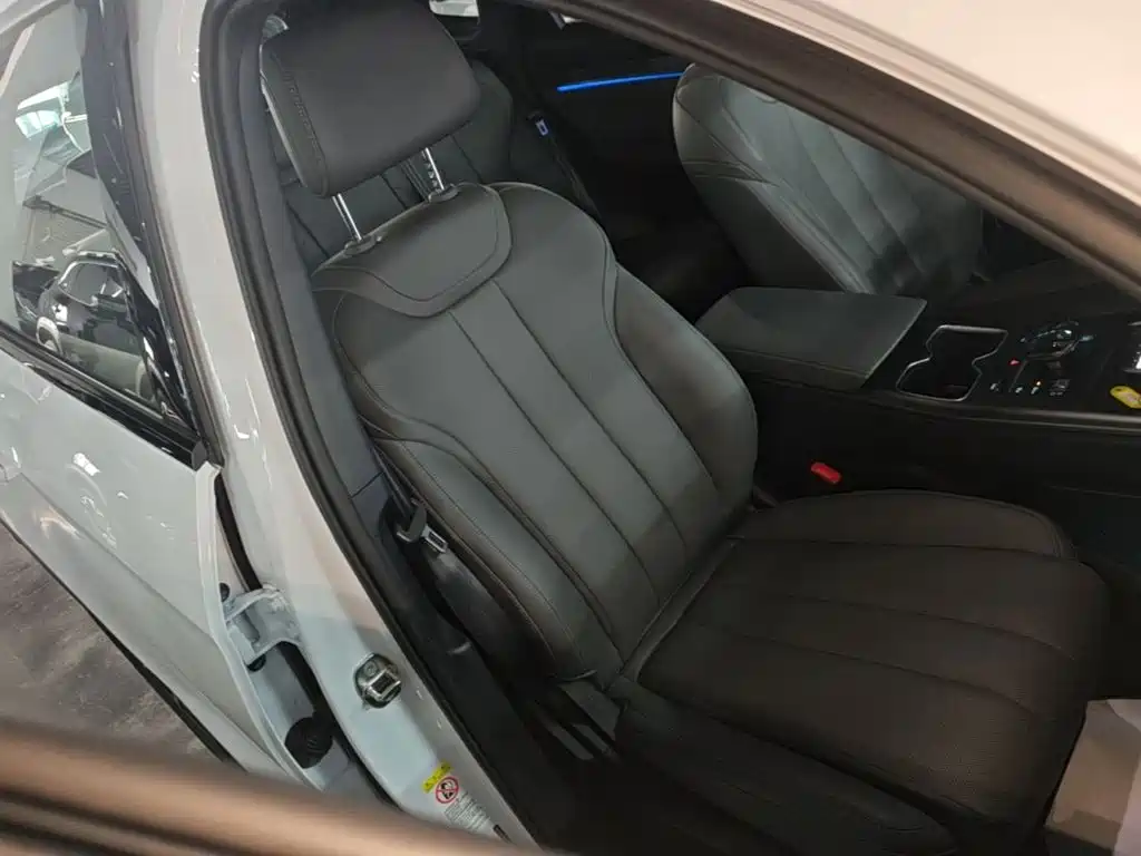 BYD Pro New Energy 2025 — фото 25