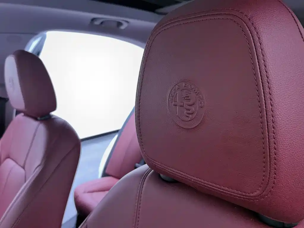 Alfa Romeo Stelvio 2019 — фото 12