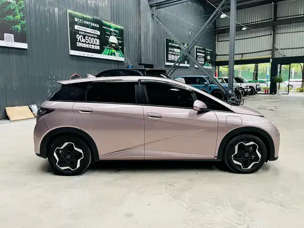 BYD Dolphin 2022