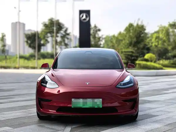 Tesla Model 3 2020