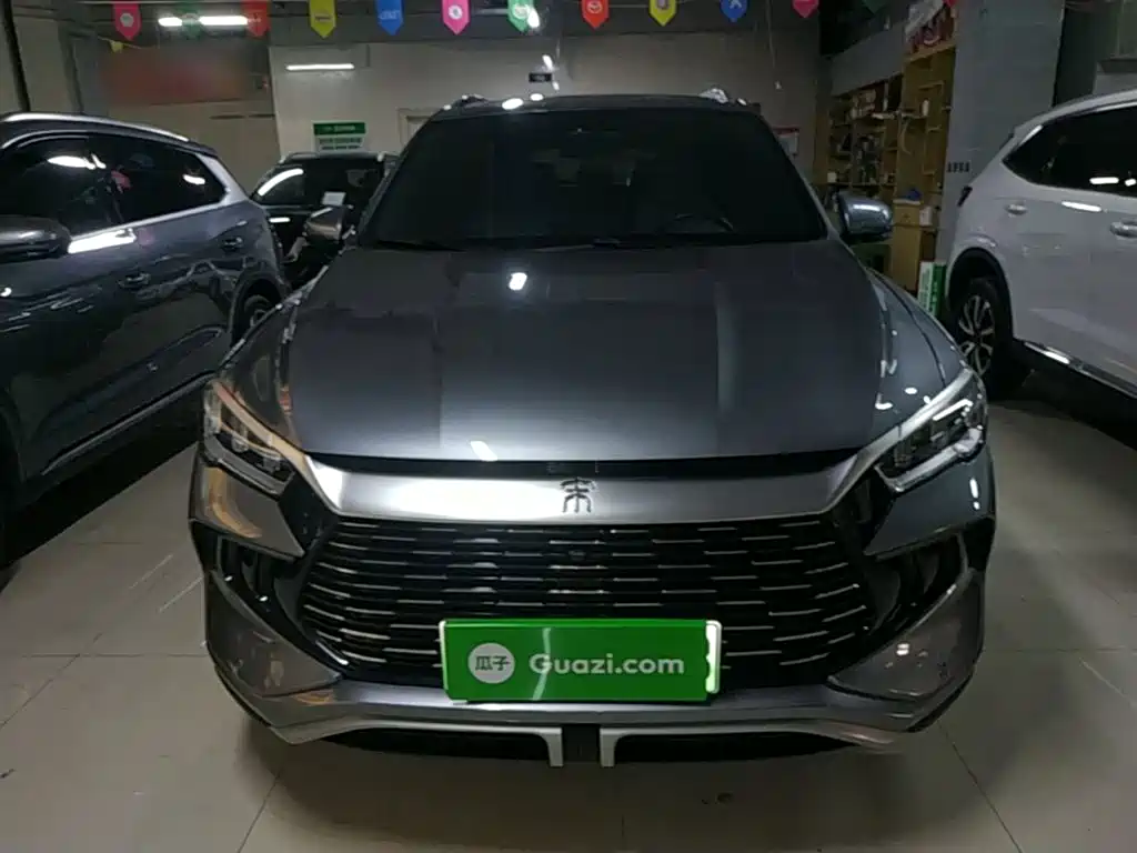 BYD Pro New Energy 2024 — фото 3