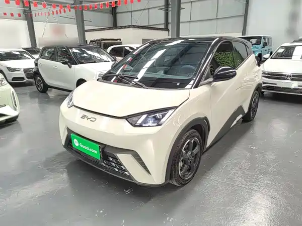 BYD Seagull 2024