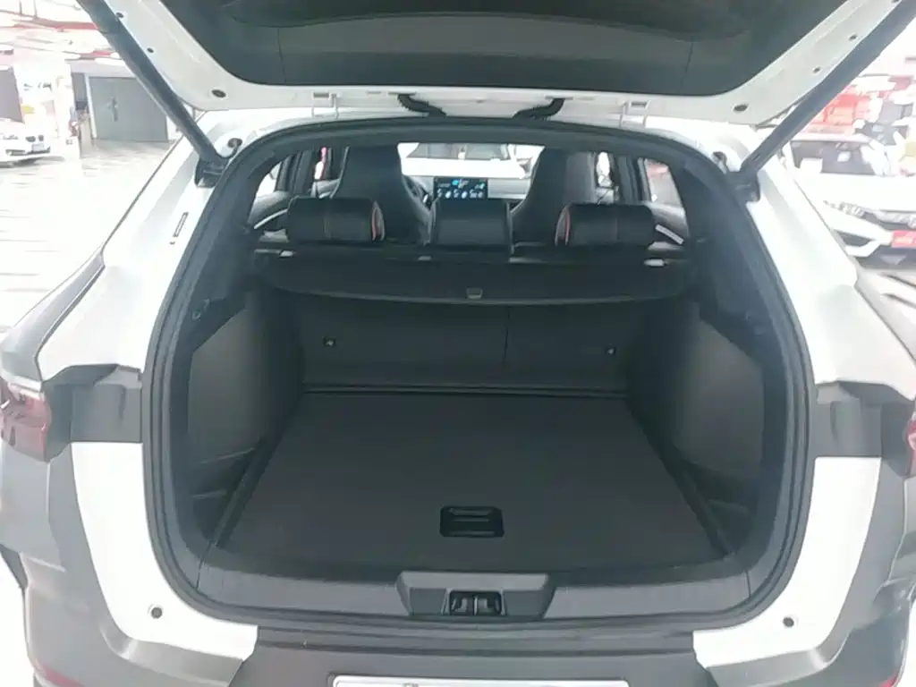 BYD PLUS New Energy 2022 — фото 19