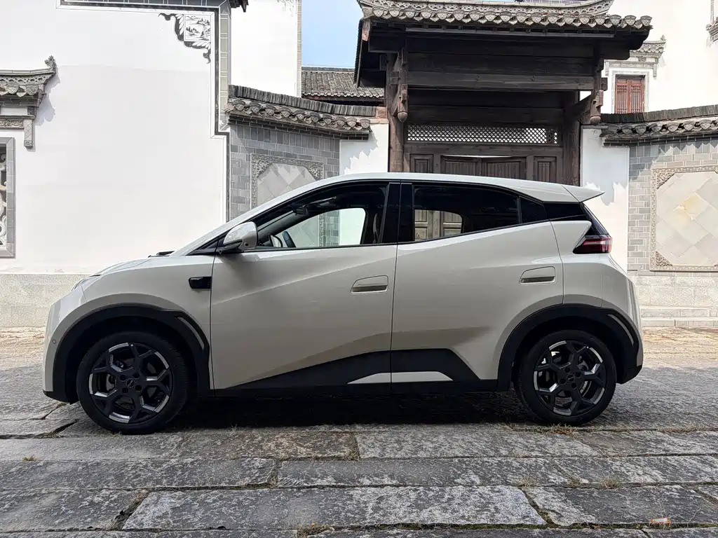 BYD Seagull 2025