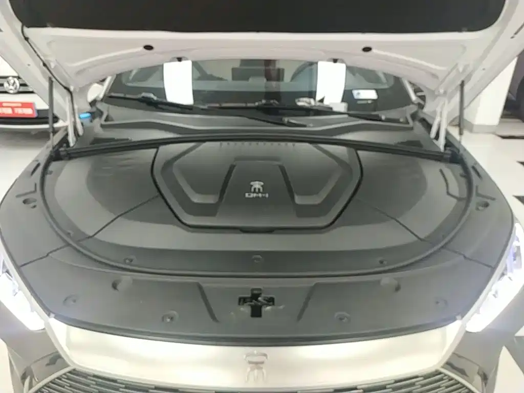 BYD PLUS New Energy 2022 — фото 20