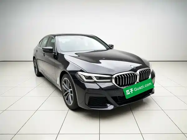 BMW 5 Series New Energy 2021