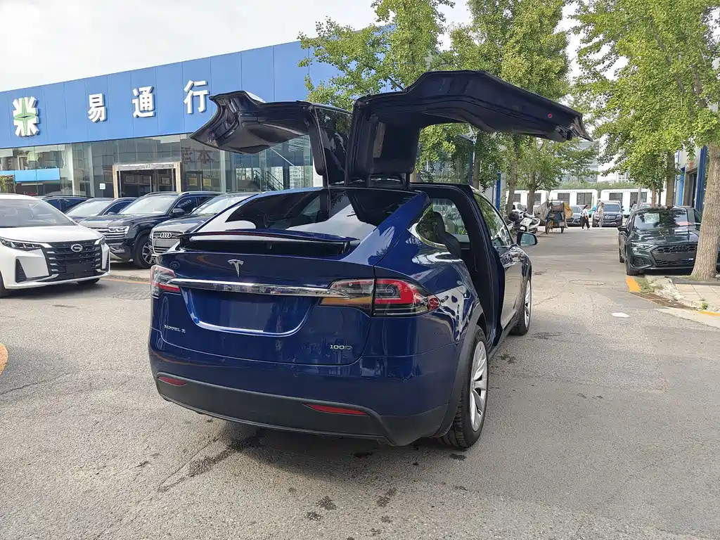 Tesla Model X 2019 — фото 6