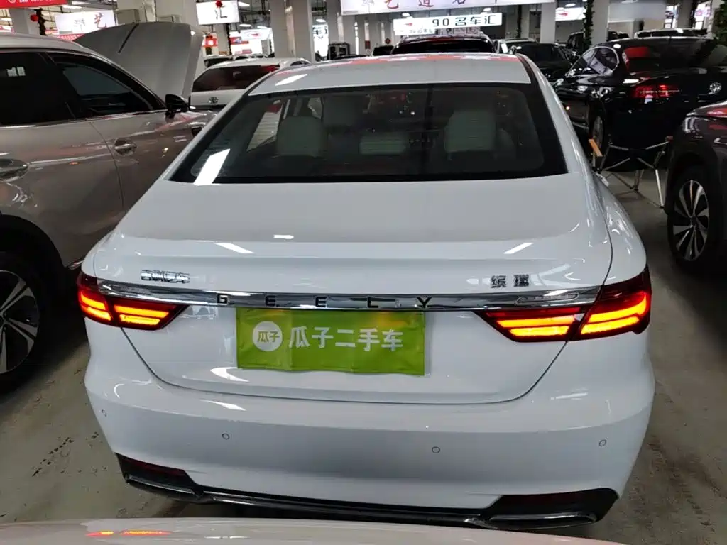 Geely Binrui 2019 — фото 6