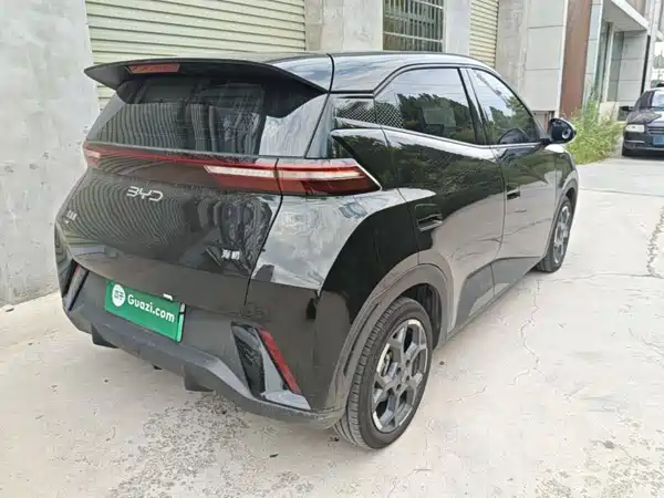 BYD Seagull 2024