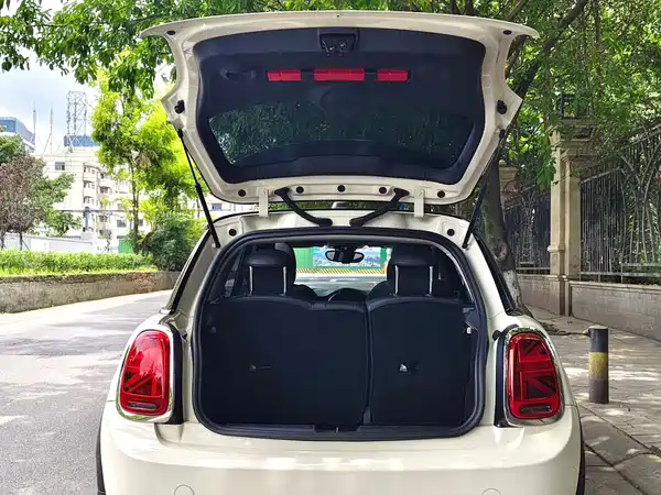 MINI MINI 2021