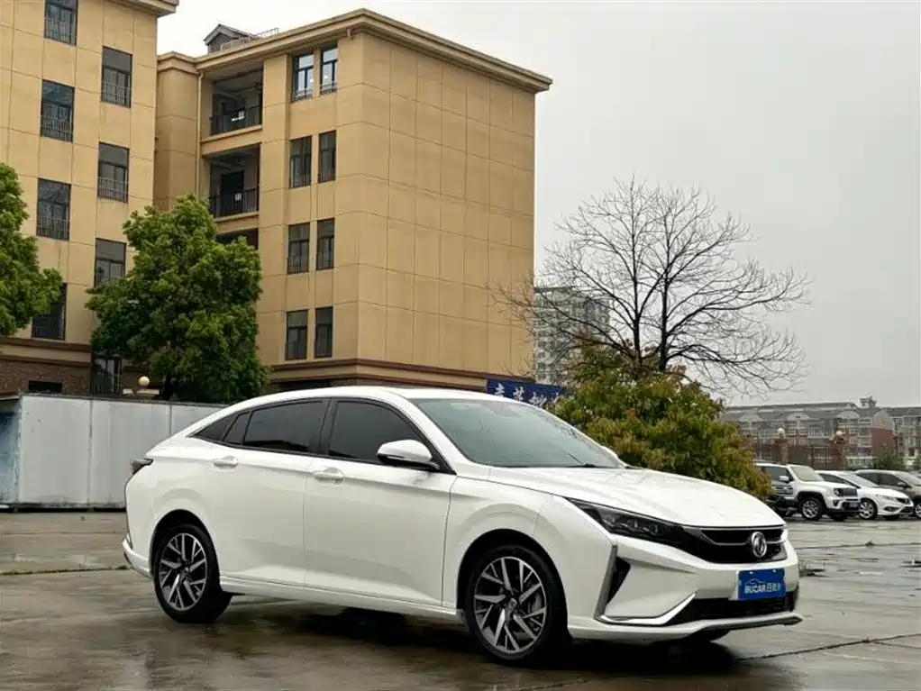 Aeolus Yixuan 2019
