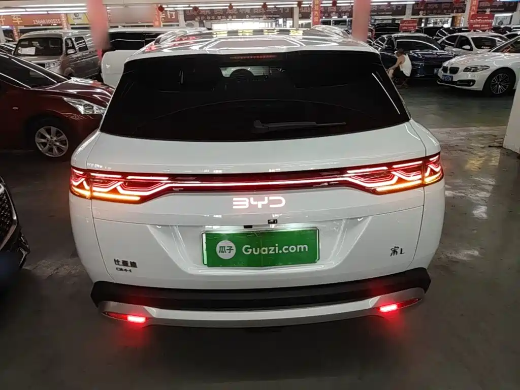 BYD L DM-i 2024 — фото 6