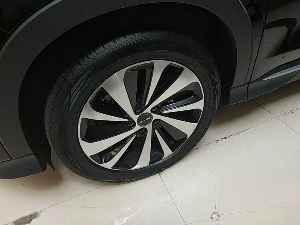 BYD PLUS New Energy 2023 — фото 23
