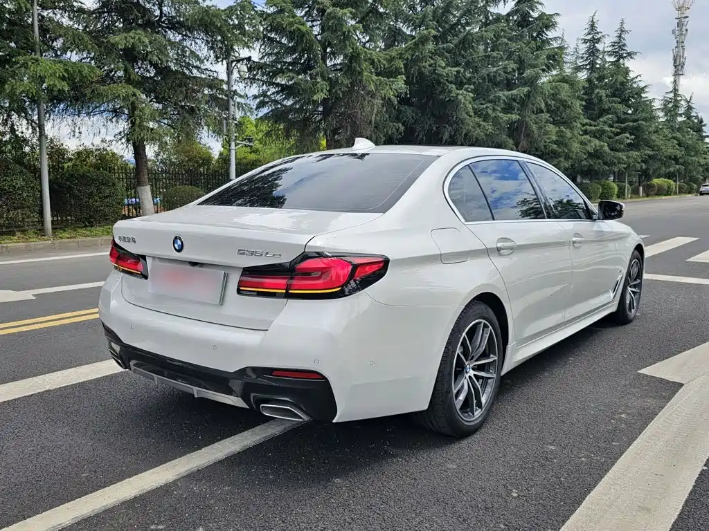 BMW 5 Series New Energy 2021 — фото 14