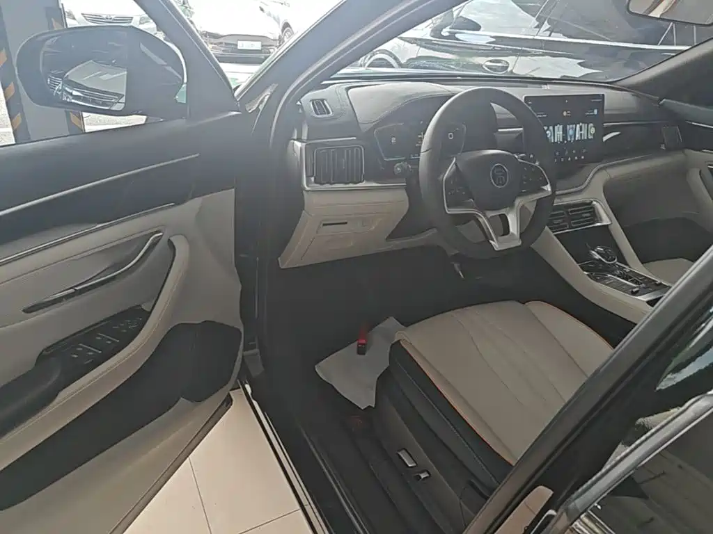 BYD Song PLUS New Energy 2021 — фото 16