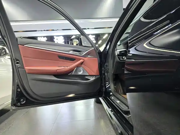BMW 5 Series New Energy 2021