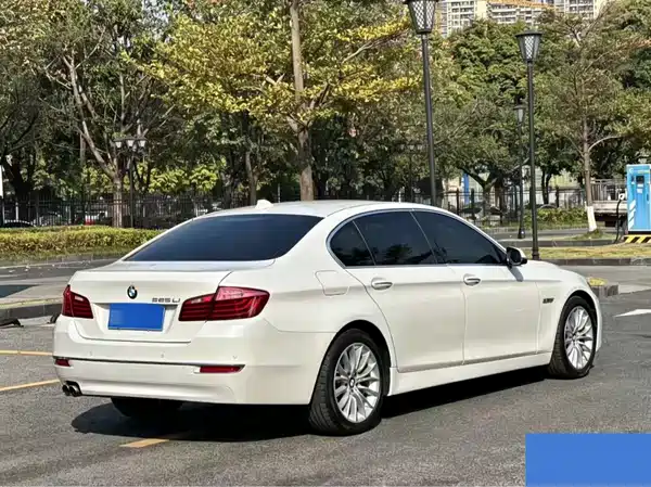 BMW 5 Series 2014