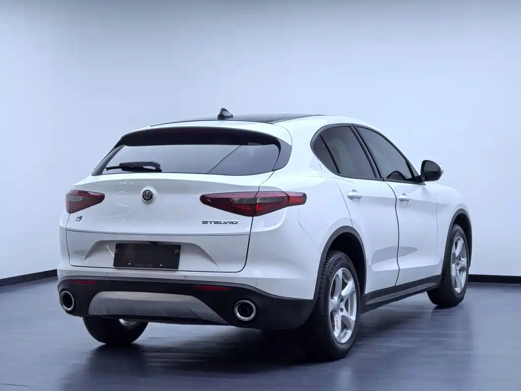 Alfa Romeo Stelvio 2019 — фото 21