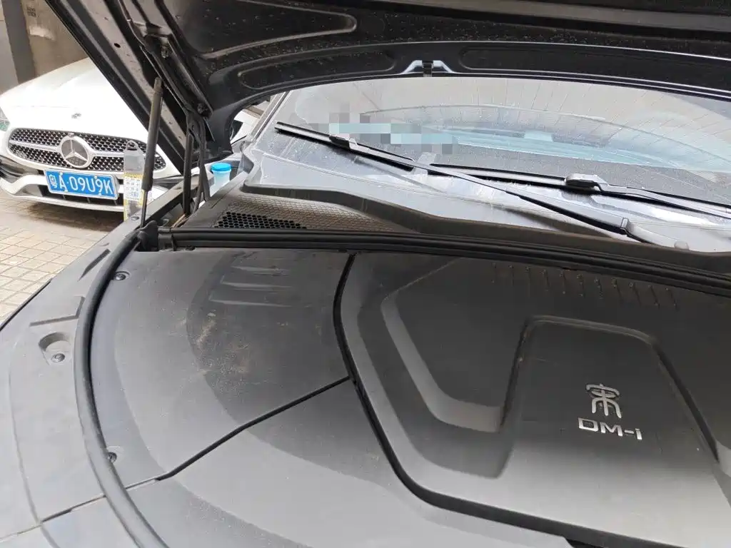 BYD Song PLUS New Energy 2022 — фото 20