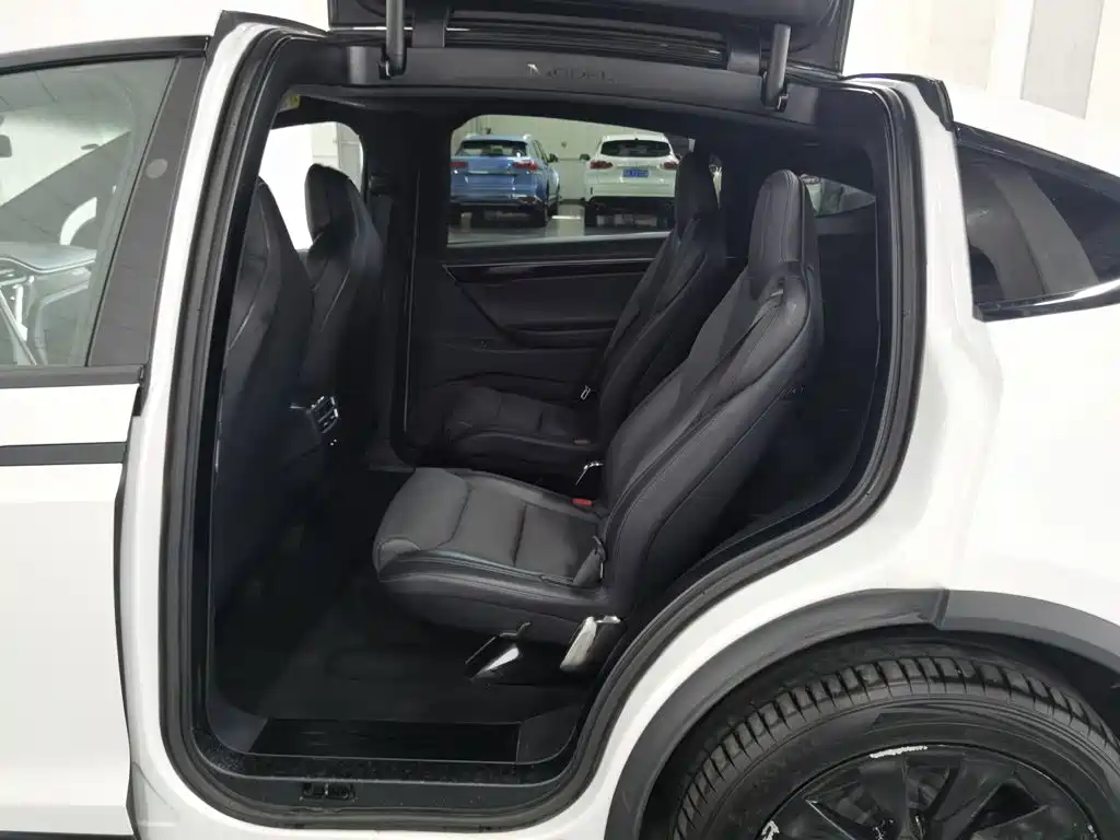 Tesla Model X 2017 — фото 15