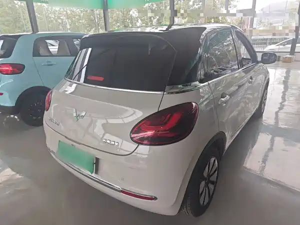 Wuling Bingo 2024