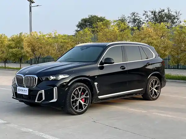 BMW X5 2024