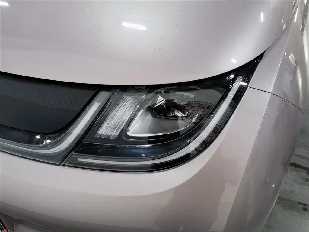 BYD Dolphin 2022