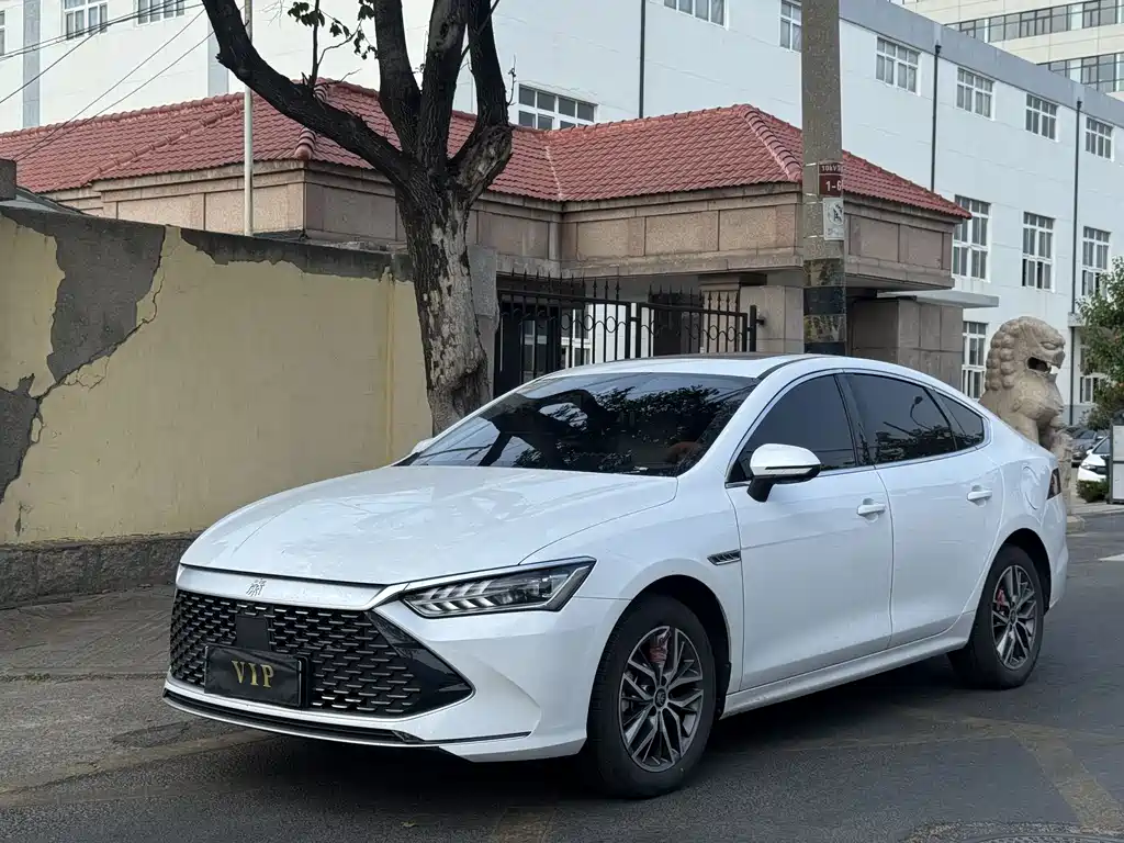 BYD Qin PLUS 2024 — фото 1