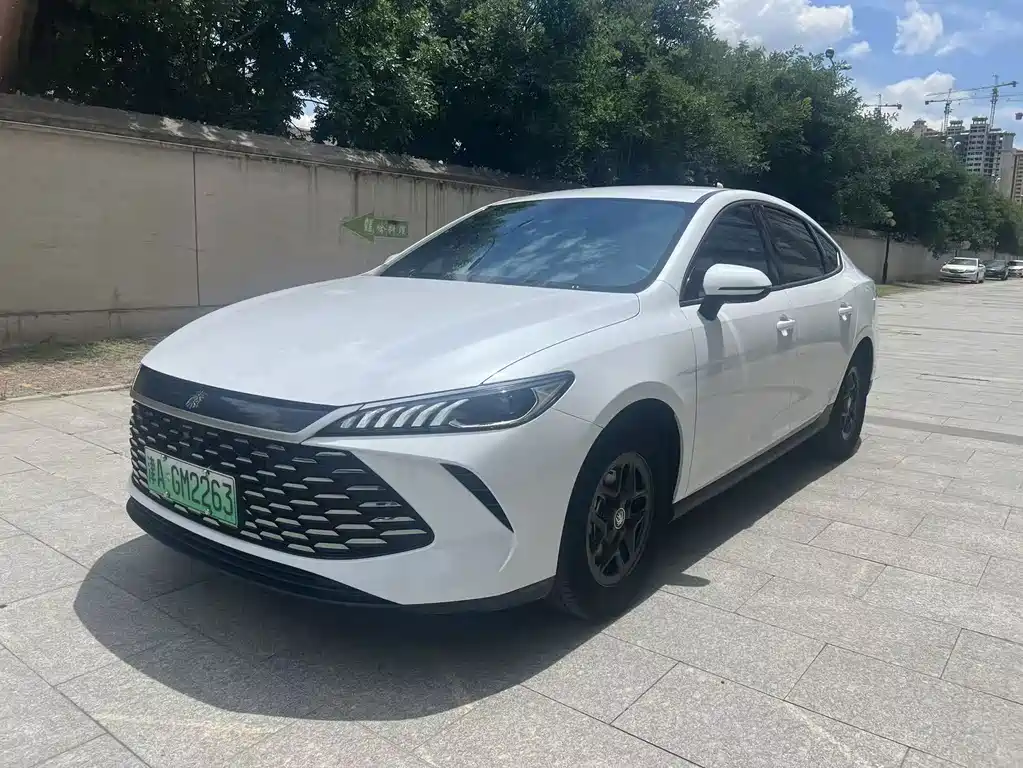 BYD Qin PLUS 2025 — фото 1