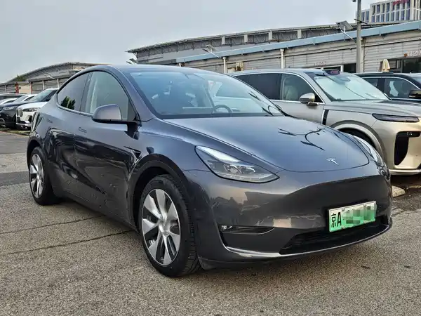 Tesla Model Y 2021