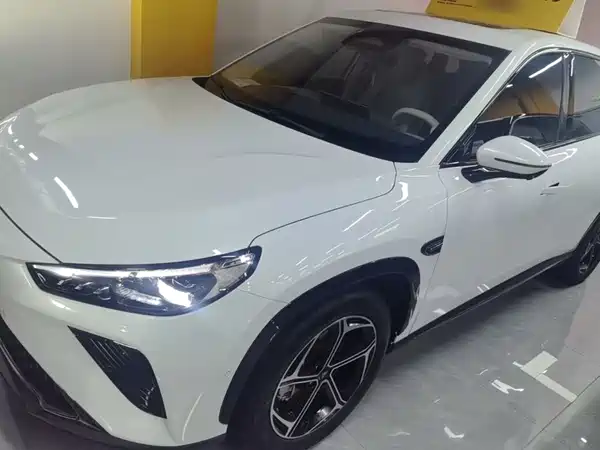 Neta L 2024