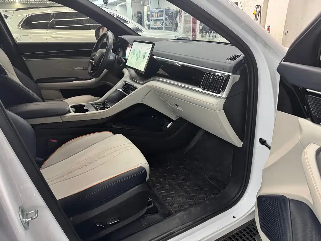 BYD Song PLUS New Energy 2023 — фото 8