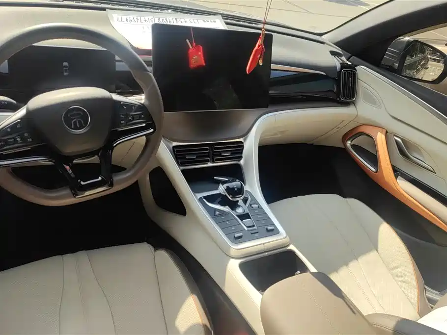 BYD Pro New Energy 2023 — фото 16