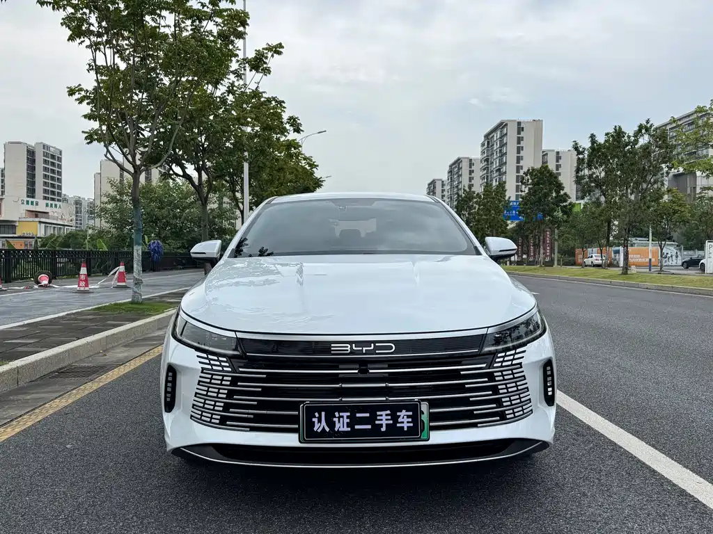 BYD Destroyer 05 2025 — фото 2