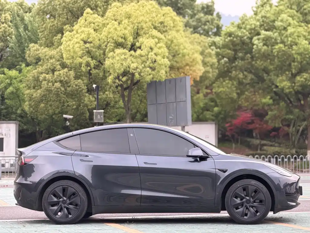 Tesla Model Y 2024 — фото 10