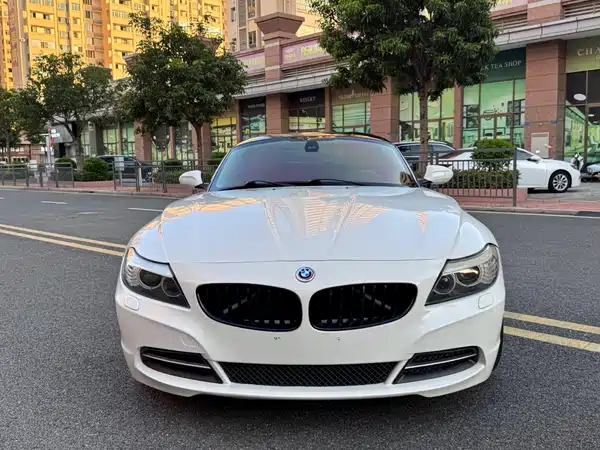 BMW Z4 2009