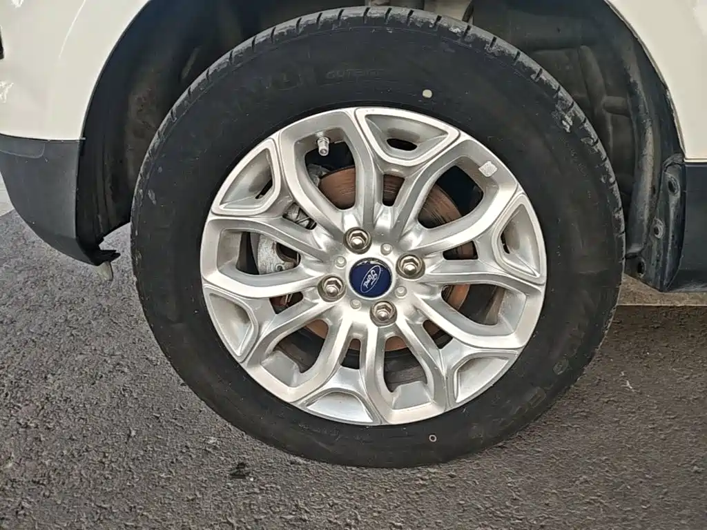Ford Ecosport 2015 — фото 23