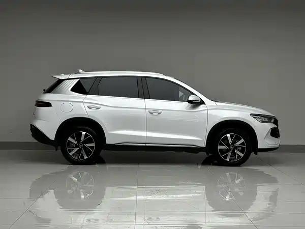 BYD Song Pro New Energy 2024