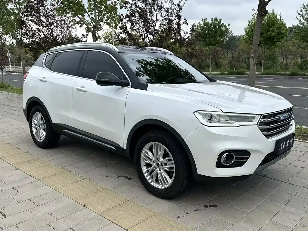 Haval H6 2017 — фото 3