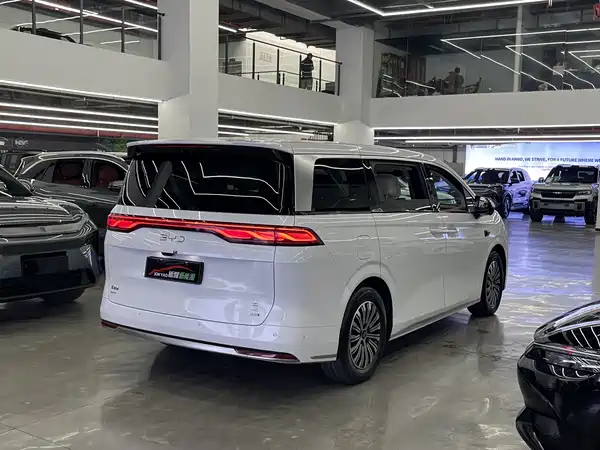 BYD Summer 2025