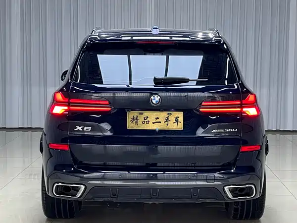 BMW X5 2023
