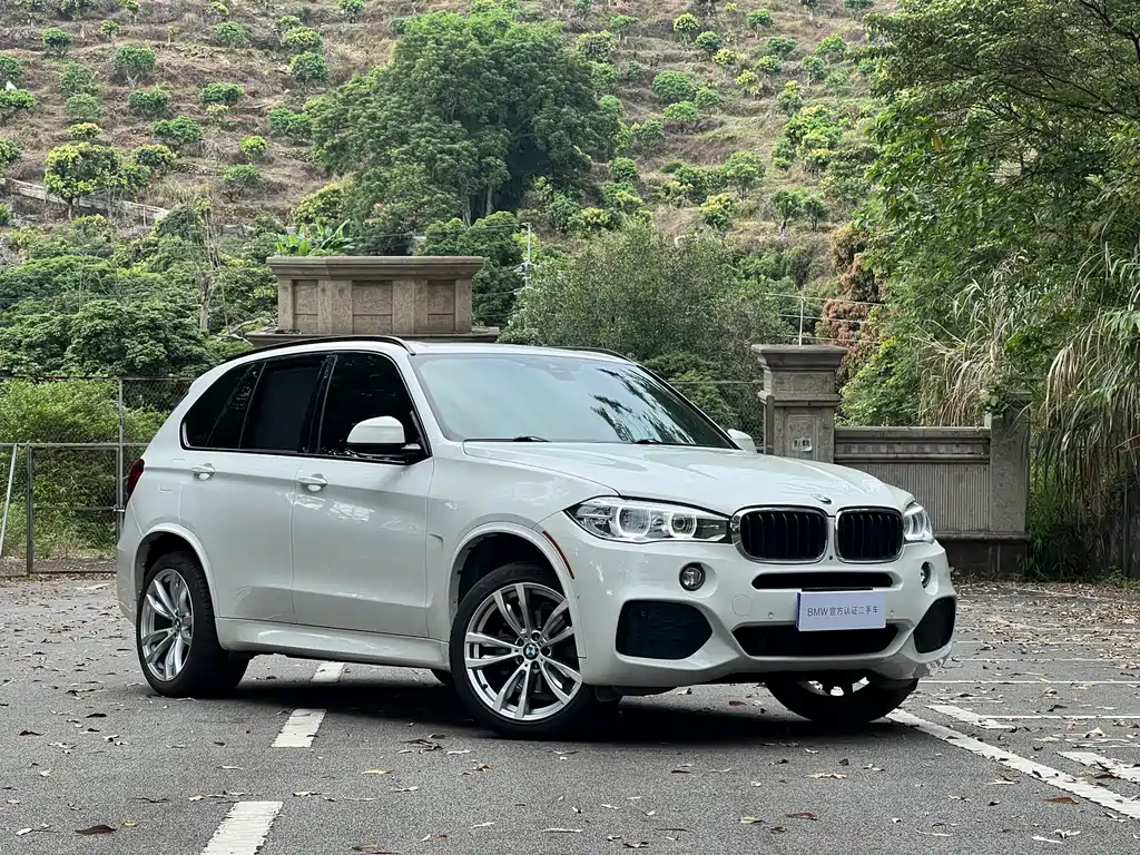 BMW X5 2019 — фото 3
