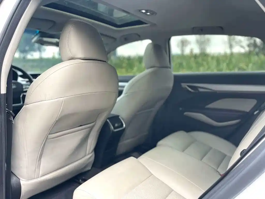 Geely Binrui 2019