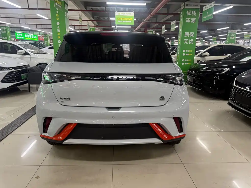 BYD Dolphin 2022