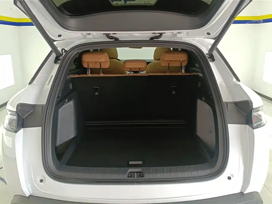 BYD L DM-i 2024 — фото 4