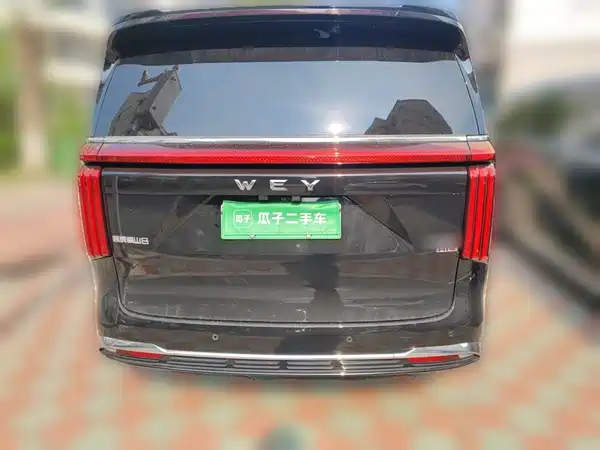 Wey Wey 2025