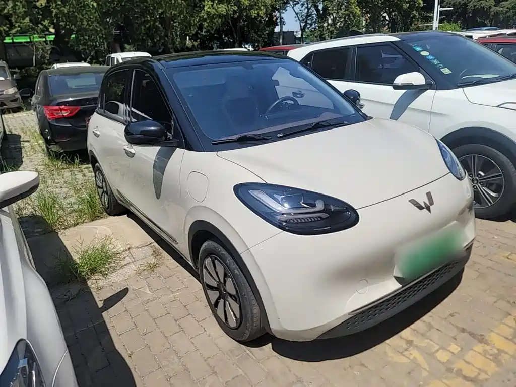 Wuling Bingo 2024
