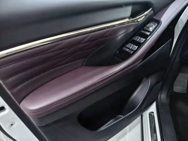 GAC Trumpchi M8 2023